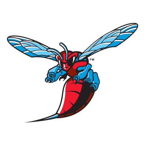 Delaware State University