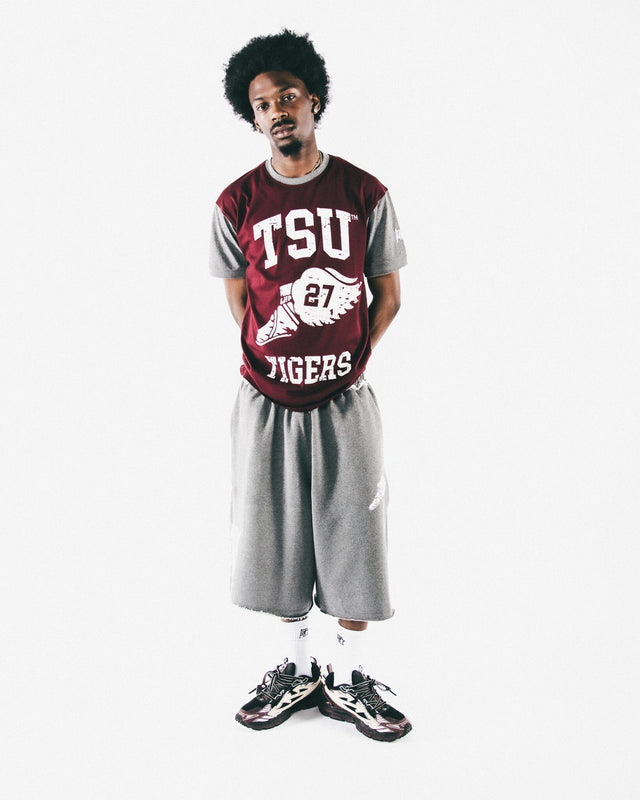 Texas Southern Wings ColorBlock Tee