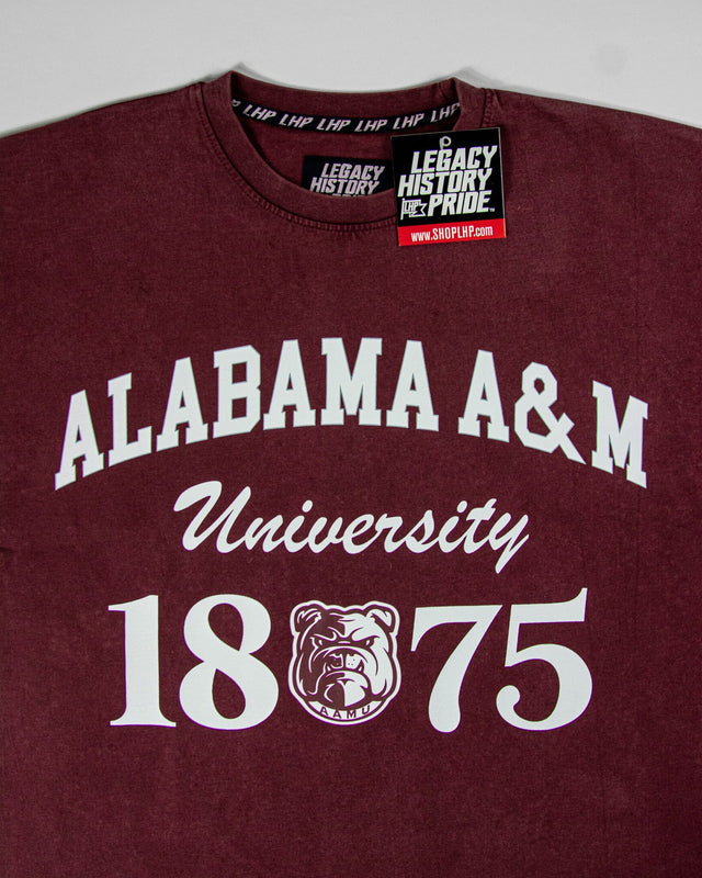 ALABAMA A&M Oversized-BOXY TEE
