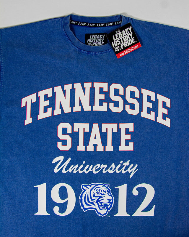 TENNESSEE STATE Oversized-BOXY TEE