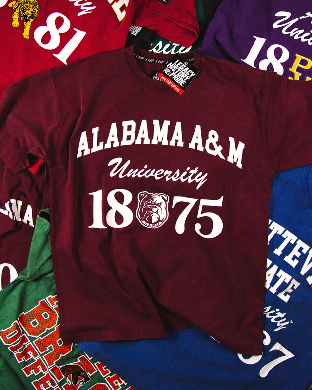 ALABAMA A&M Oversized-BOXY TEE