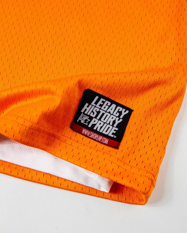 FAMU Practice Jersey