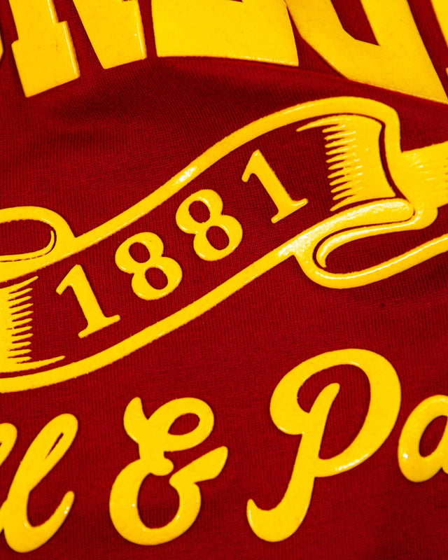 Tuskegee Legacy Tee