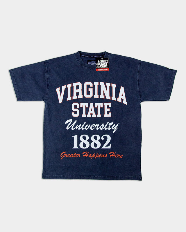 VIRGINIA STATE Oversized-BOXY TEE