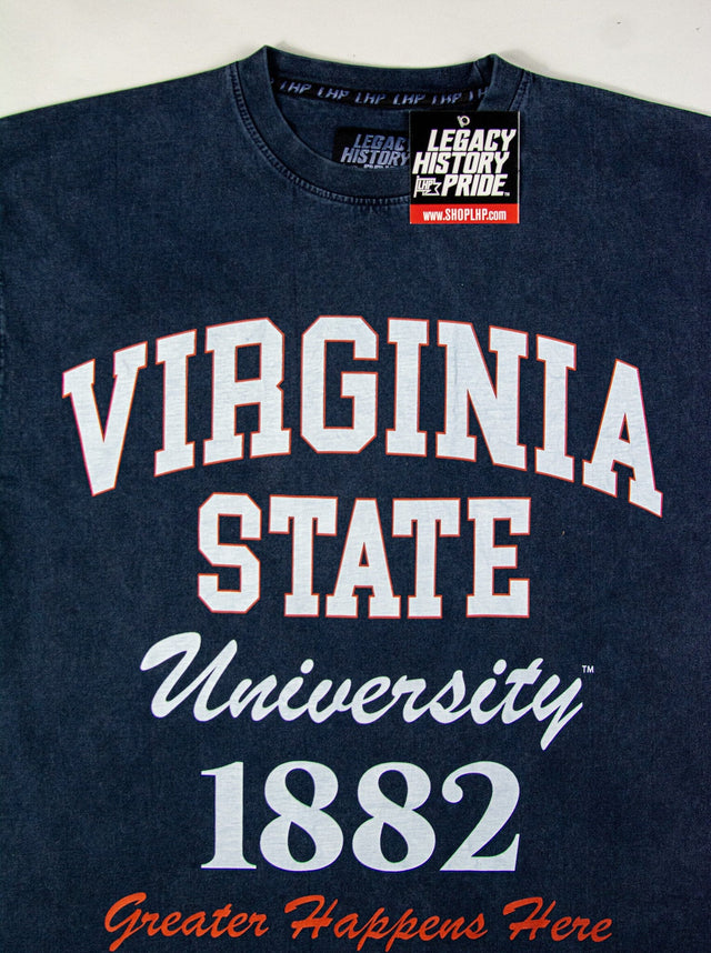 VIRGINIA STATE Oversized-BOXY TEE