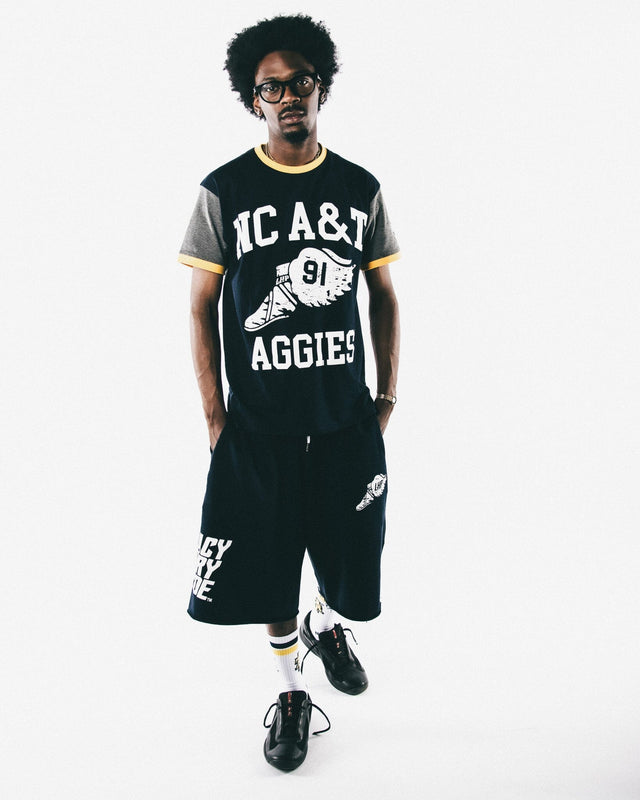 NC A& T Wings ColorBlock Tee