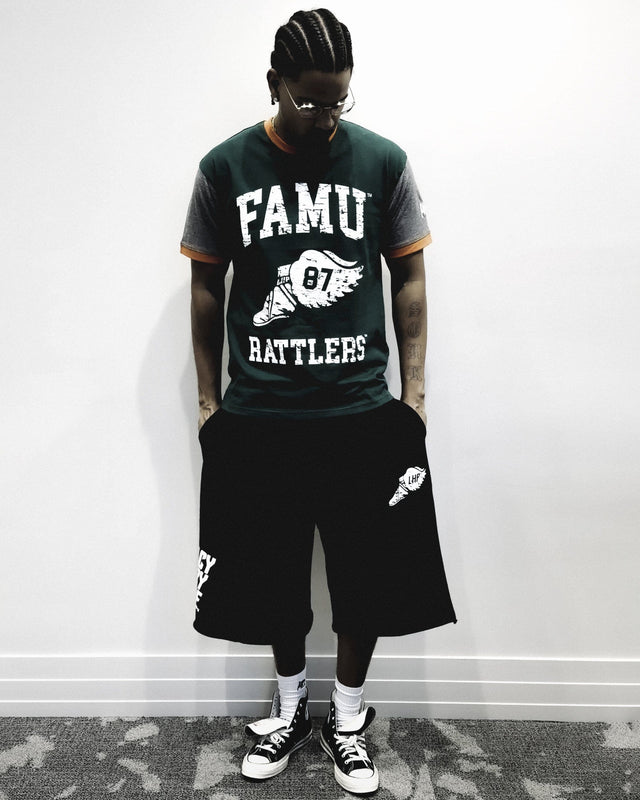 Florida A&M Wings ColorBlock Tee