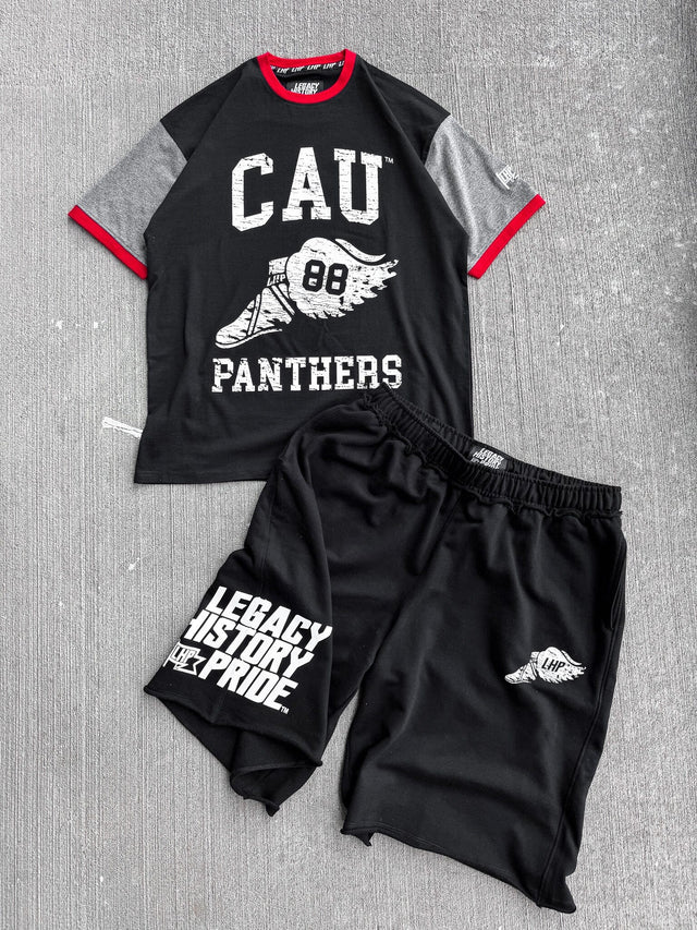 Clark Atlanta Wings ColorBlock Tee
