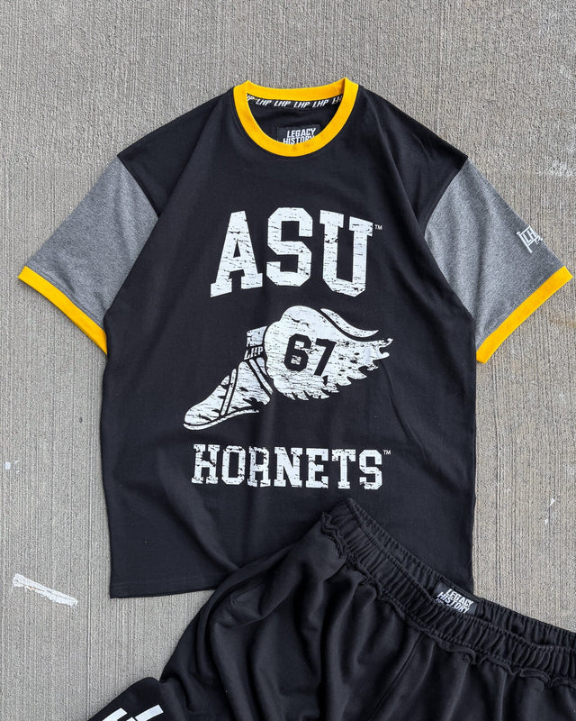 Alabama State Wings ColorBlock Tee