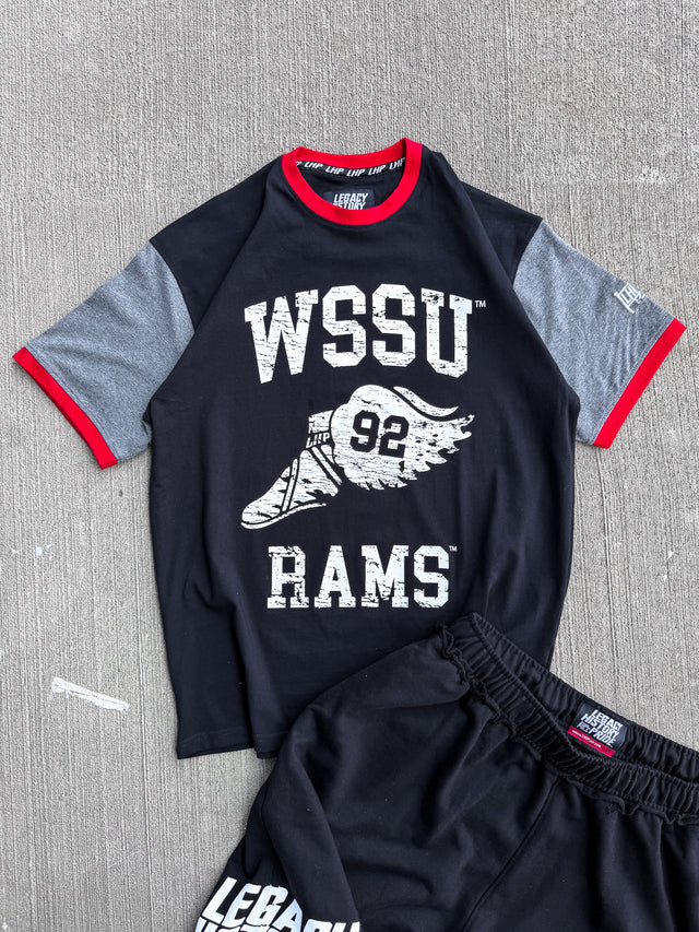 Winston-Salem Wings ColorBlock Tee