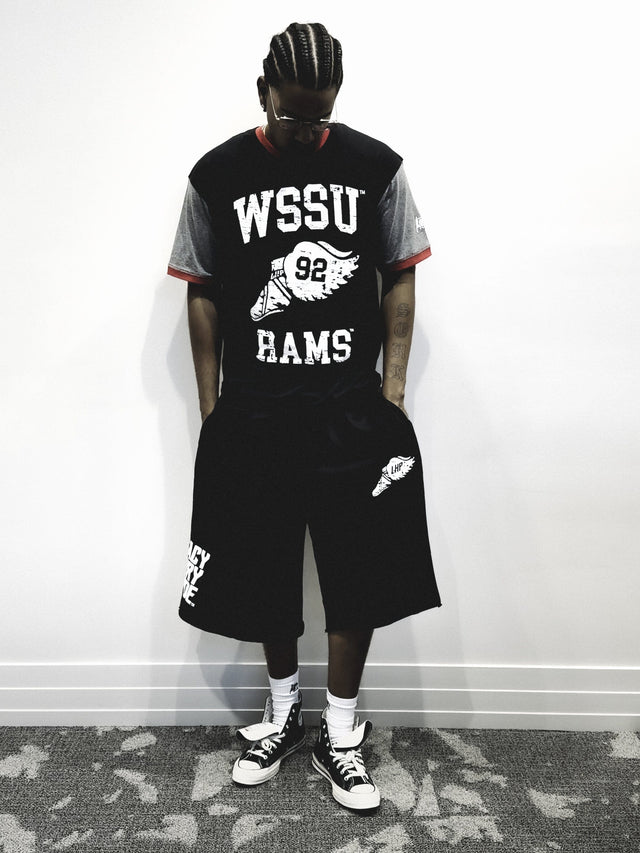 Winston-Salem Wings ColorBlock Tee