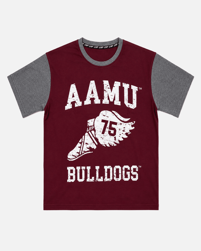 Alabama A&M Wings ColorBlock Tee