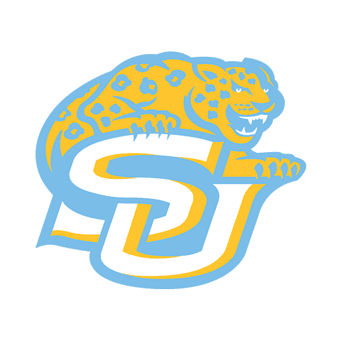 Southern University