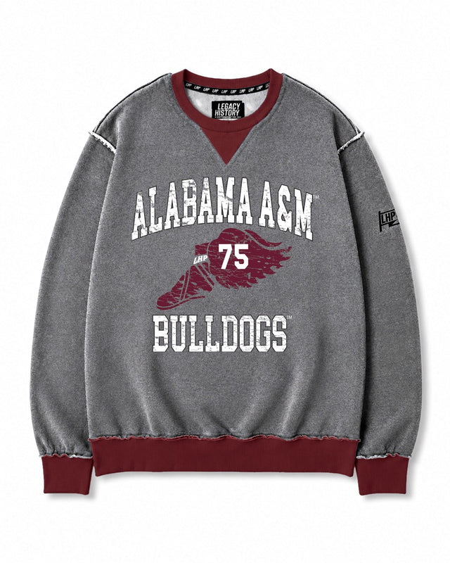 Alabama A&M Wings Crew