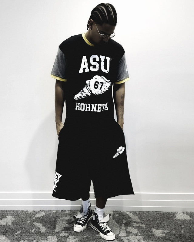 Alabama State Wings ColorBlock Tee
