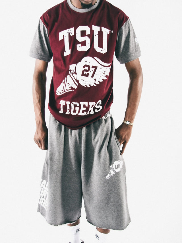 Texas Southern Wings ColorBlock Tee