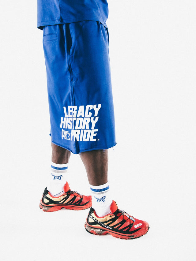 Hampton Wings ColorBlock Tee