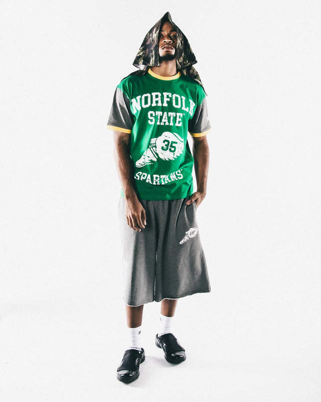 Norfolk State Wings ColorBlock Tee