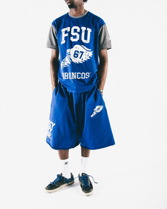 Fayetteville State Wings ColorBlock Tee