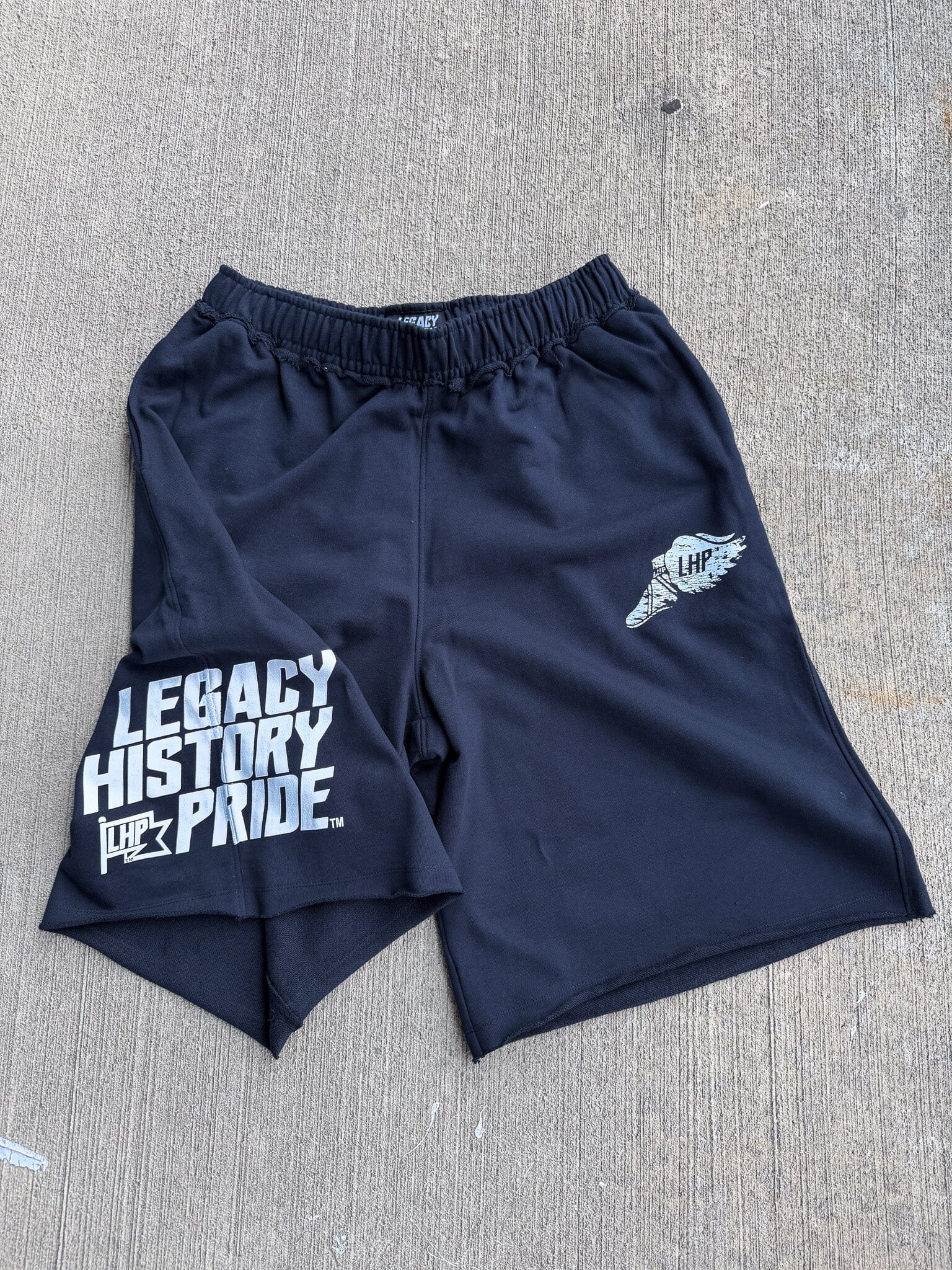 LegacyHistoryPride™ Baggy Shorts – Legacy History Pride