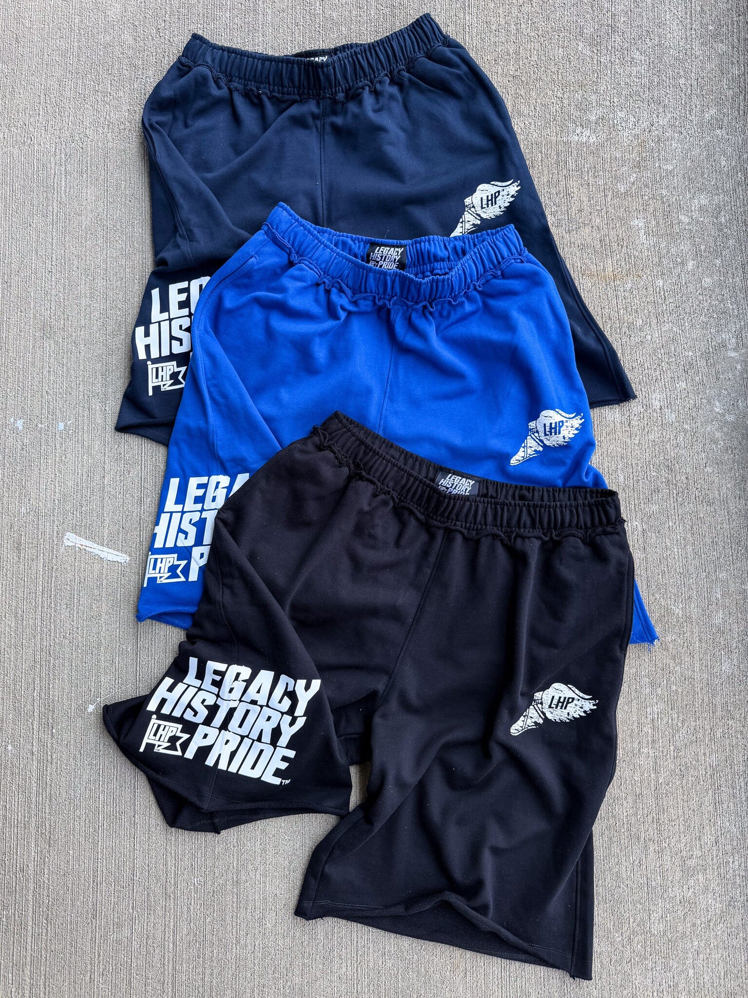 LegacyHistoryPride™ Baggy Shorts – Legacy History Pride