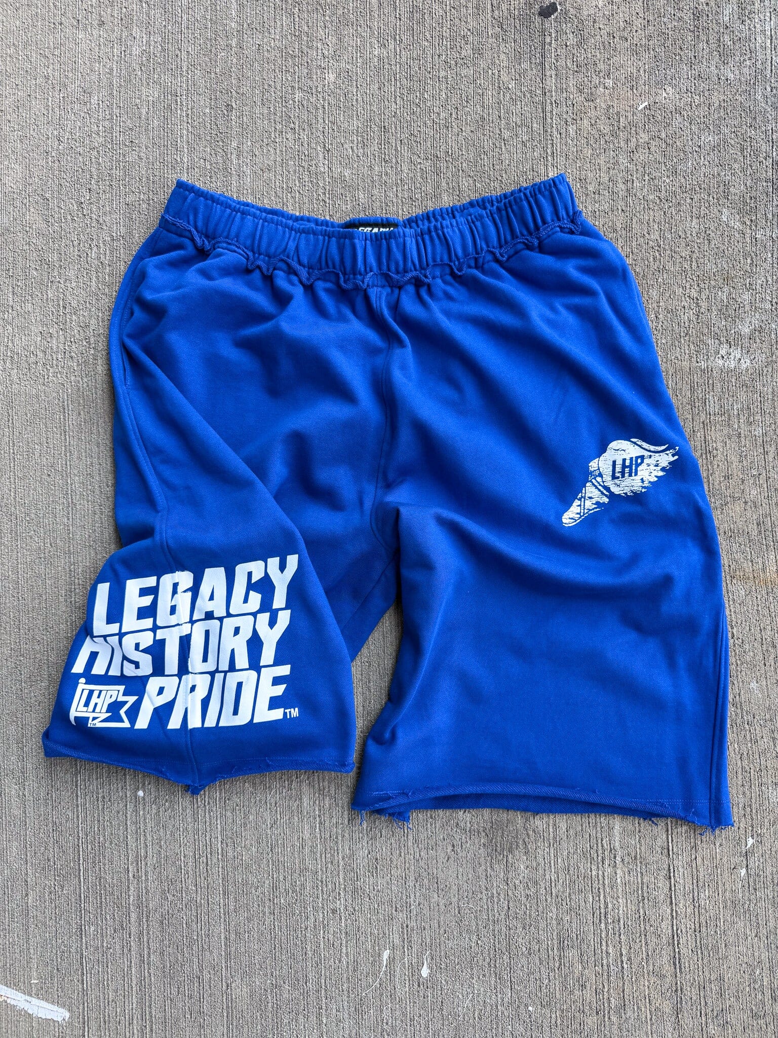 LegacyHistoryPride™ Baggy Shorts – Legacy History Pride