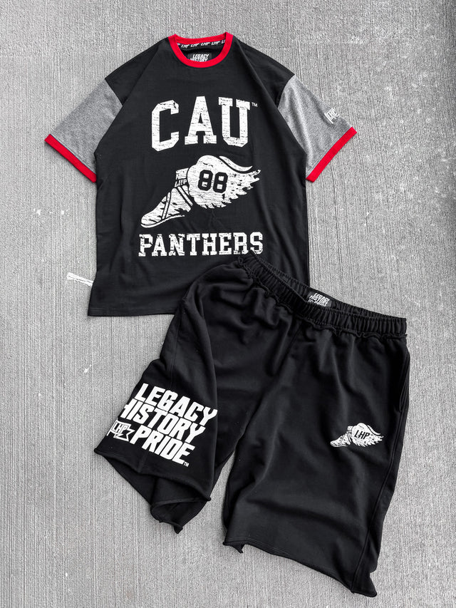 Clark Atlanta Wings ColorBlock Tee