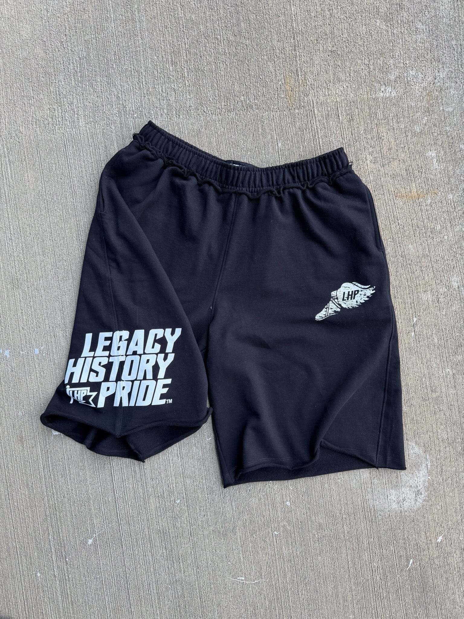 LegacyHistoryPride™ Baggy Shorts – Legacy History Pride