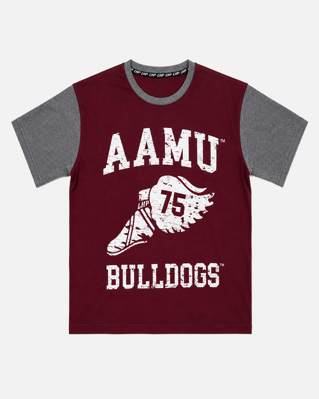 Alabama A&M  Wings ColorBlock Tee