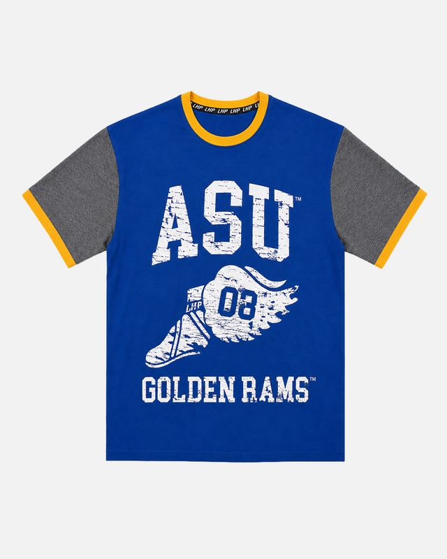 Albany State Wings ColorBlock Tee